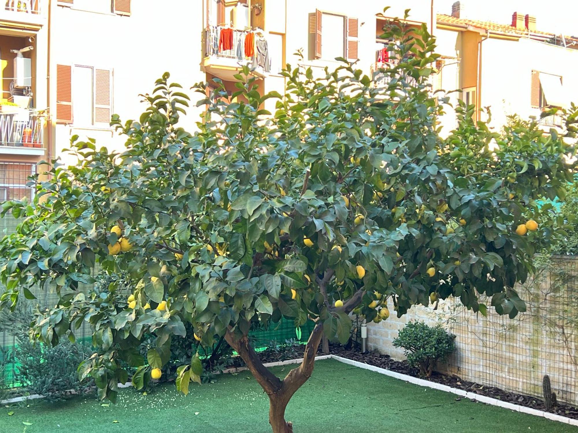 Casa Paestum. Your Wonderful Garden In Rzym Zewnętrze zdjęcie